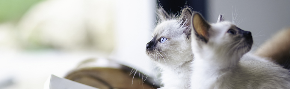 Zu Ihrer Information: